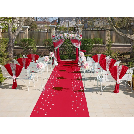 Tapis rouge evenement